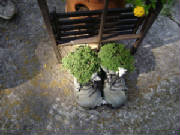 dsc01166.jpg